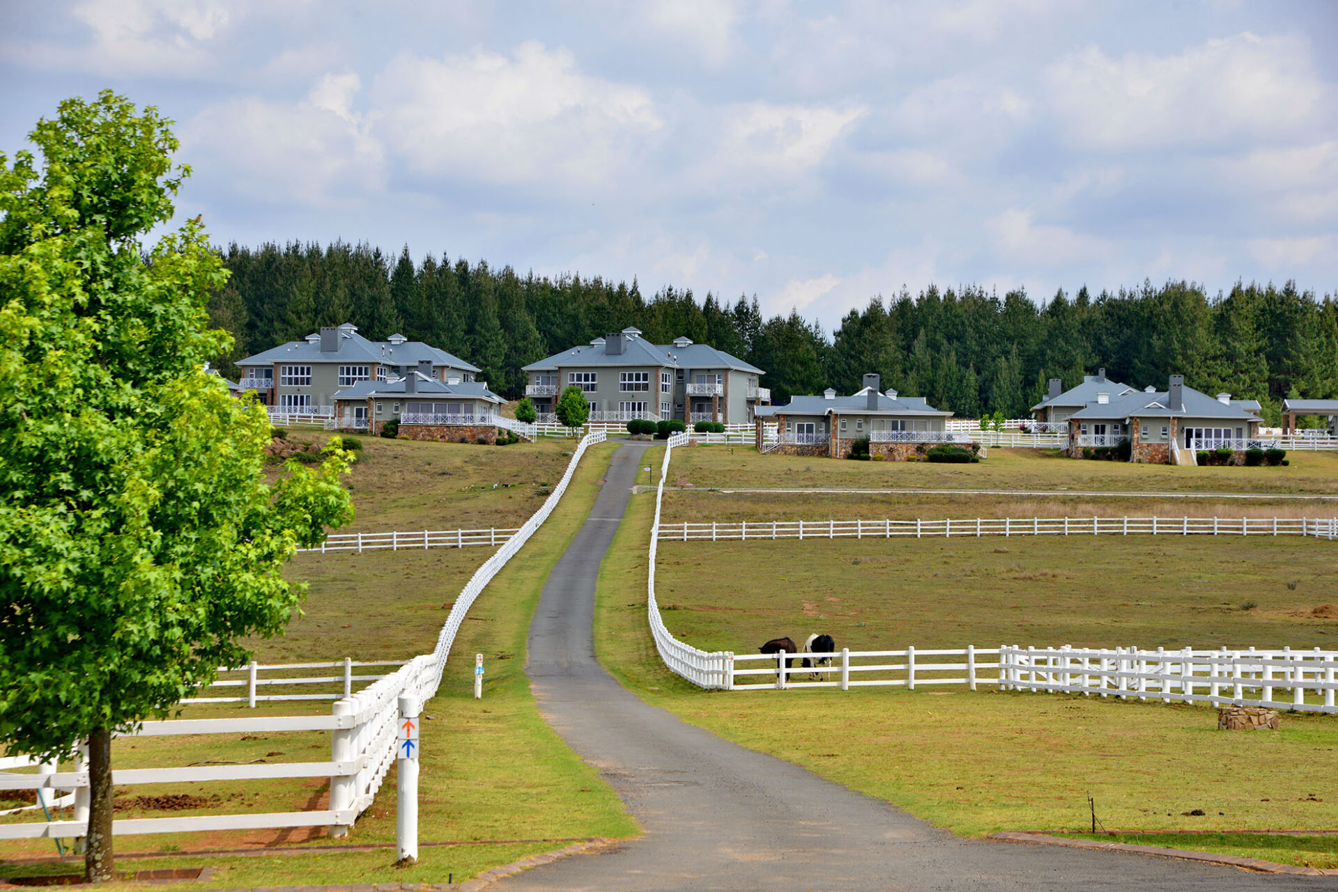 Dunkeld Estate