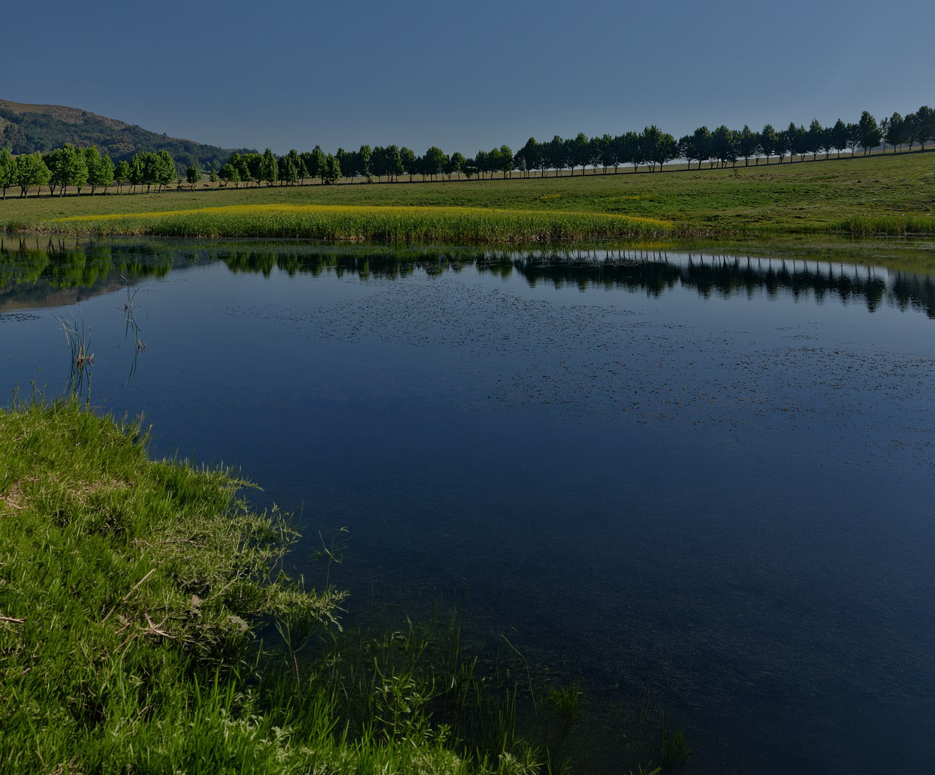 Dunkeld Equestrian Estate